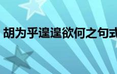 胡为乎遑遑欲何之句式（胡为乎遑遑欲何之）