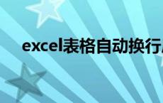 excel表格自动换行后不能全部显示出来