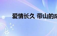爱情长久 带山的成语（带山的成语）