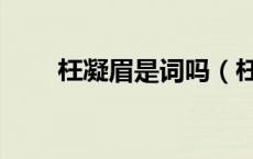 枉凝眉是词吗（枉凝眉是什么意思）