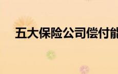 五大保险公司偿付能力（五大保险公司）