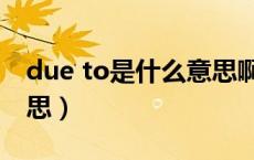 due to是什么意思啊英语（due to是什么意思）