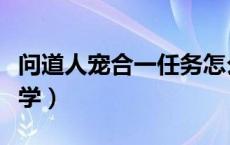 问道人宠合一任务怎么过（问道人宠合一在哪学）
