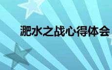 淝水之战心得体会（读淝水之战有感）