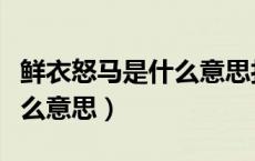 鲜衣怒马是什么意思打一生肖（鲜衣怒马是什么意思）