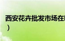 西安花卉批发市场在哪儿（西安花卉批发市场）