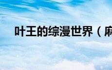 叶王的综漫世界（麻仓叶王的综漫生活）