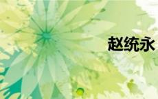 赵统永（赵统）
