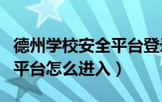 德州学校安全平台登录（德州市学校安全教育平台怎么进入）
