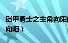 铠甲勇士之主角向阳的小说（铠甲勇士之我是向阳）