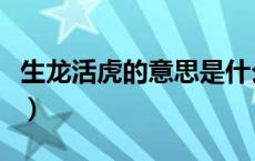 生龙活虎的意思是什么生肖（生龙活虎的意思）
