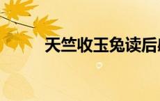 天竺收玉兔读后感（天竺收玉兔）