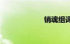 销魂组词（销魂）