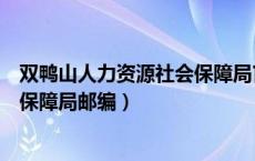 双鸭山人力资源社会保障局官网（双鸭山市人力资源和社会保障局邮编）