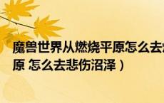 魔兽世界从燃烧平原怎么去灼热峡谷（魔兽世界我在燃烧平原 怎么去悲伤沼泽）