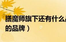 膳魔师旗下还有什么品牌（膳魔师是哪个国家的品牌）