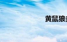 黄鼠狼多少钱？