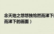 念天地之悠悠独怆然而涕下的画面题（念天地之悠悠独怆然而涕下的画面）