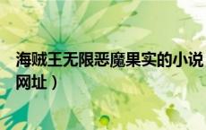 海贼王无限恶魔果实的小说（求海贼王之无限果实免费小说网址）