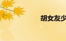 胡女友少侠全系列