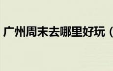 广州周末去哪里好玩（广州周末去哪儿官网）