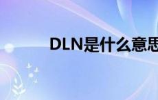 DLN是什么意思（dlan是什么）