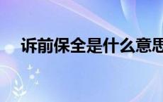 诉前保全是什么意思（保全是什么意思）