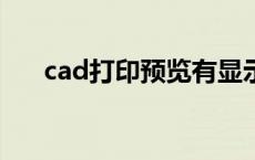 cad打印预览有显示打印出来是空白的