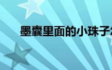 墨囊里面的小珠子怎么顶下去（墨囊）