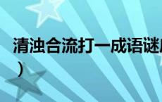 清浊合流打一成语谜底是（清浊合流打一成语）
