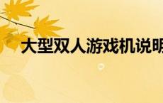 大型双人游戏机说明书（大型双人游戏）