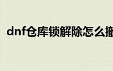 dnf仓库锁解除怎么撤销（dnf仓库锁解除）