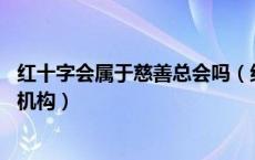 红十字会属于慈善总会吗（红十字会 慈善会到底是属于什么机构）