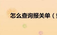 怎么查询报关单（如何查询报关单号）