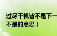过尽千帆皆不是下一句是什么?（过尽千帆皆不是的意思）