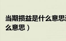 当期损益是什么意思通俗易懂（当期损益是什么意思）