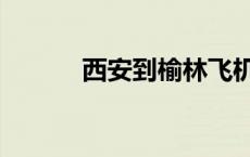 西安到榆林飞机（西安到榆林）