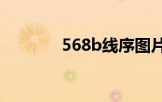 568b线序图片（568b线序）