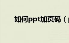 如何ppt加页码（ppt加页码怎么加）