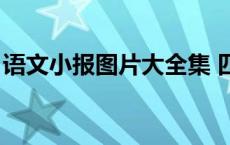 语文小报图片大全集 四年级（语文小报图片）