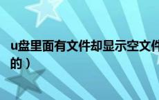 u盘里面有文件却显示空文件（u盘显示有文件但是里面是空的）