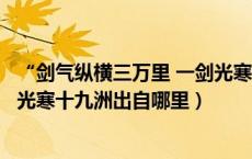 “剑气纵横三万里 一剑光寒十九洲”（剑气纵横三万里一剑光寒十九洲出自哪里）