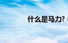 什么是马力?（什么是马力）
