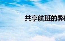 共享航班的弊端（共享航班）