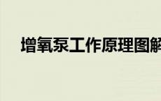 增氧泵工作原理图解（增氧泵工作原理）