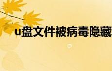 u盘文件被病毒隐藏怎么恢复正常win10