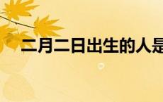 二月二日出生的人是什么命（二月二日）