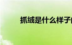 抓绒是什么样子的（抓绒是什么）
