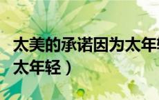 太美的承诺因为太年轻英文（太美的承诺因为太年轻）