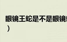 眼镜王蛇是不是眼镜蛇（眼镜蛇王最怕什么蛇）